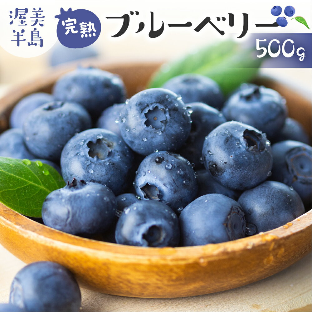 先行予約 完熟ブルーベリー 500g フルーツ 手摘み スイーツ 期間限定 数量限定 入手困難 ジャム 健康 大粒 旬 果物 くだもの 厳選 直送 新鮮 お菓子 素材