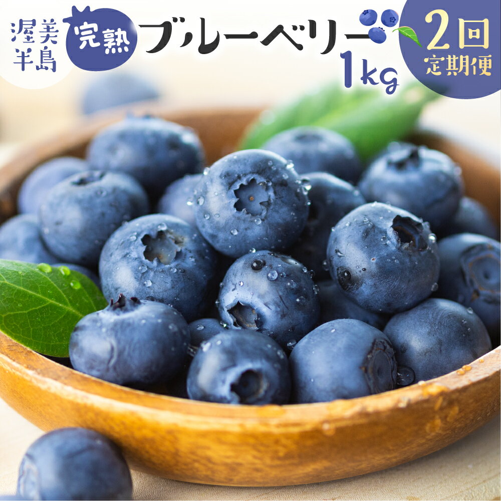 2026年 先行予約 完熟ブルーベリー 1kg 2回 定期便 フルーツ 手摘み スイーツ 期間限定 数量限定 入手困難 ジャム 健康 大粒 旬 果物 くだもの 厳選 直送 新鮮 お菓子 素材 ブルーベリー ベリー ブルベ