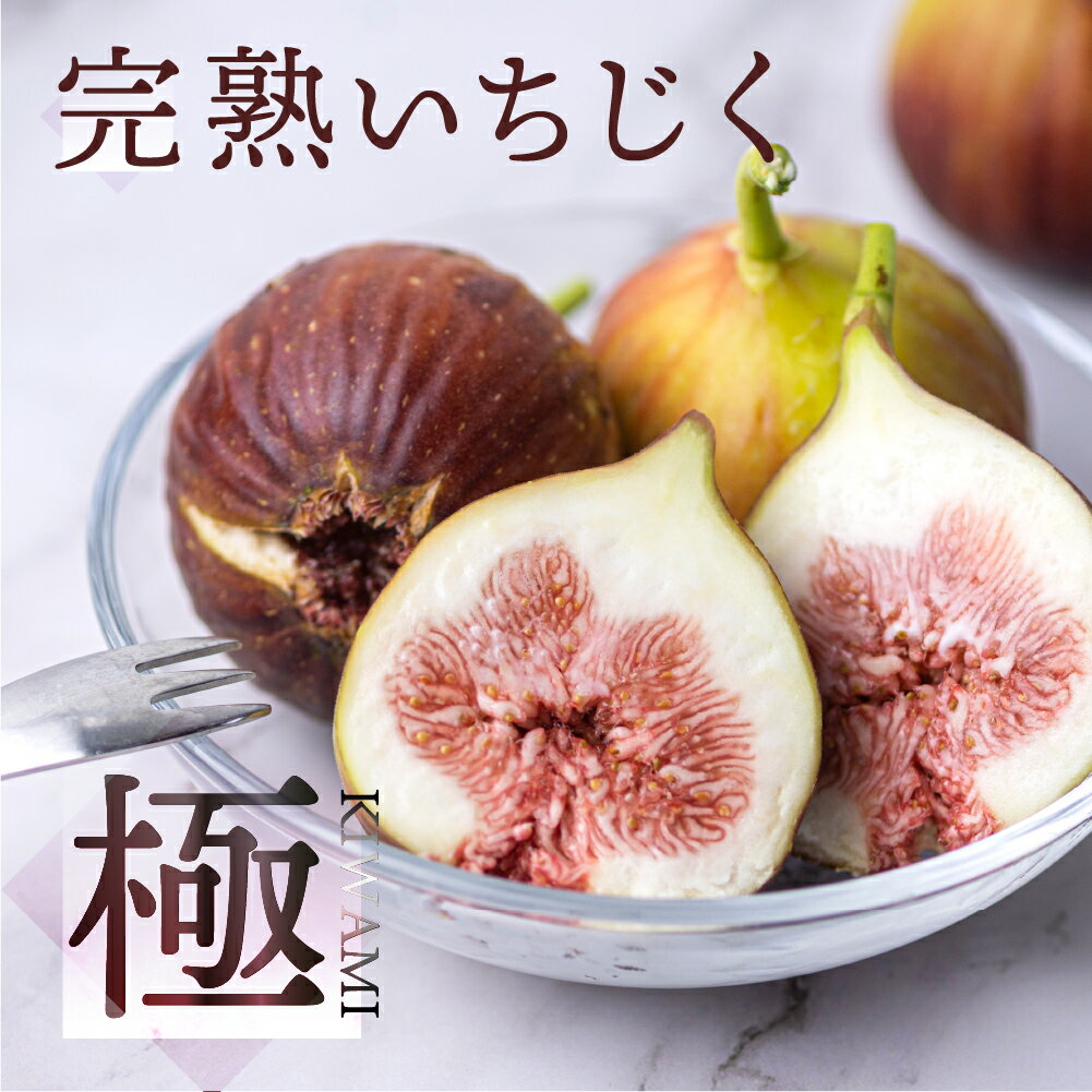いちじく 極 9-12玉 高評価★4.9 完熟 大玉 《先行予約》 1箱/2箱 発送時期が選べる フルーツ 日時指定可 受賞農家 果物 無花果 イチジク くだもの いちぢく ランキング 入手困難 高級 愛知県 田原市 渥美半島 人気