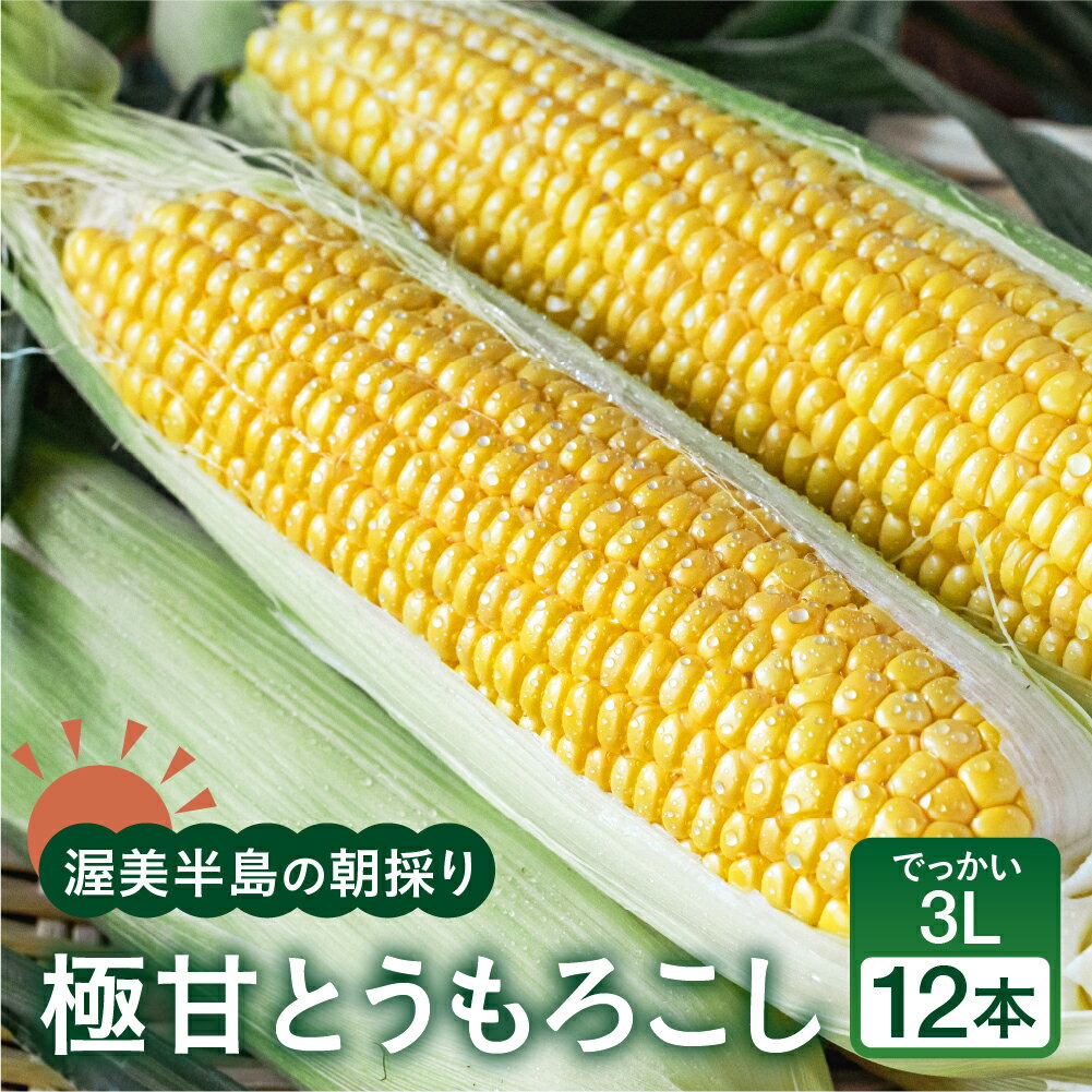 【先行予約】 朝採り極甘 とうもろこし 3Lサイズ 12本 渥美半島産 愛知県田原市 トウモロコシ 産地直送 ビックサイズ