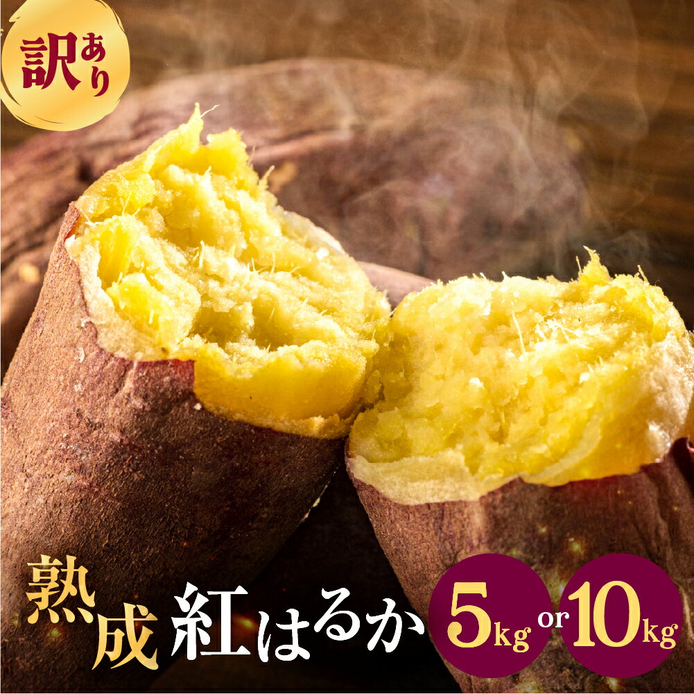 先行予約 訳あり さつまいも 5kg / 10kg サイズ無選別 紅はるか サツマイモ 熟成 焼き芋 スイートポテト 野菜 田原市 渥美半島 大きさ不揃い
