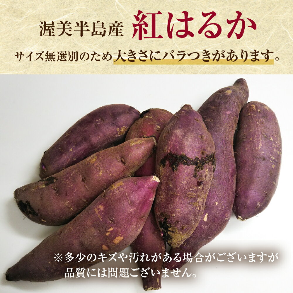 【ふるさと納税】先行予約 訳あり さつまいも 5kg / 10kg サイズ無選別 紅はるか サツマイモ 熟成 焼き芋 スイートポテト 野菜 田原市 渥美半島 大きさ不揃い サムネイル2