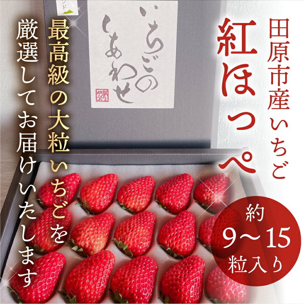 【ふるさと納税】幻の青うなぎ ＆ いちご セット うなぎ 訳あり 蒲焼 2尾 大粒 激甘 苺 ギフト箱入り 青鰻 ウナギ 鰻 蒲焼き 最高級 長蒲焼 特大サイズ 楽天限定 土用丑の日 丑の日 簡単調理 惣菜 果物 フルーツ くだもの どうまい 定期便(2回) サムネイル3