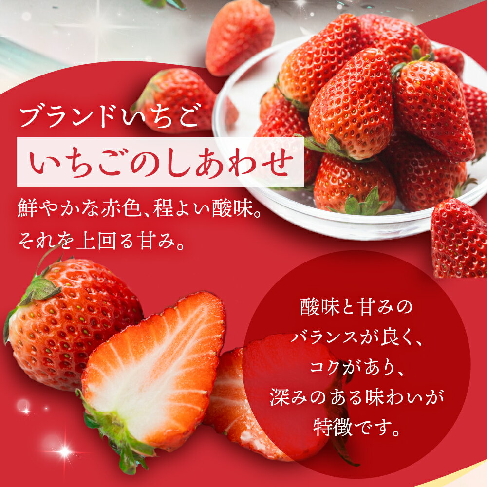 【ふるさと納税】≪先行予約≫ 愛知県・田原産 ブランドいちご『いちごのしあわせ』約9粒〜15粒 2026年1月〜発送開始 大粒 激甘 イチゴ 激甘 いちご 激甘 苺 果物 激甘 くだもの 激甘 フルーツ ブランド 贅沢品 激甘 贈答品 激甘 お取り寄せ田原市 産地直送 送料無料 サムネイル3