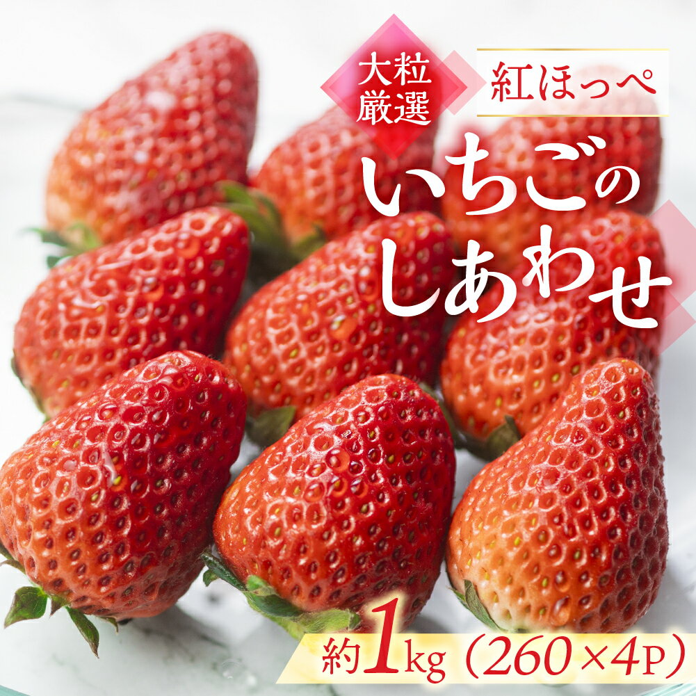 ≪先行予約≫ 愛知県・田原産 ブランドいちご『いちごのしあわせ』4パック（約260g×4） 2026年1月〜発送開始 大粒 激甘 イチゴ 激甘 いちご 苺 果物 激甘 くだもの 激甘 フルーツ ブランド 贅沢品 激甘 贈答品 激甘 お取り寄せ田原市 産地直送 送料無料