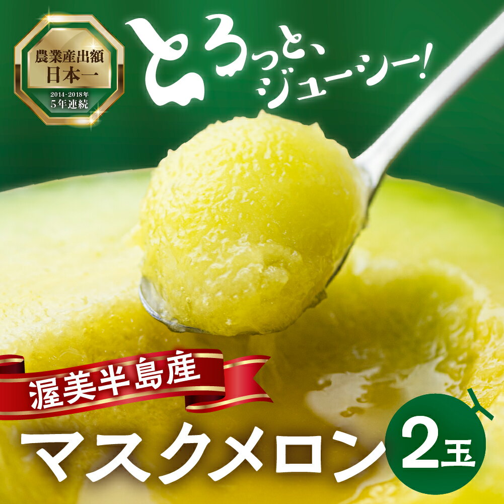 《先行予約》 メロン 2玉 マスクメロン (1玉 1.5kg以上) 渥美半島産 マルカ農園 メロン めろん 箱詰め フルーツ 果物 愛知県 田原市 産地直送 夏 父の日 ギフト10000円 1万円 メロン 糖度 メロン 青肉 ド甘い 暑さ 対策 暑さ対策