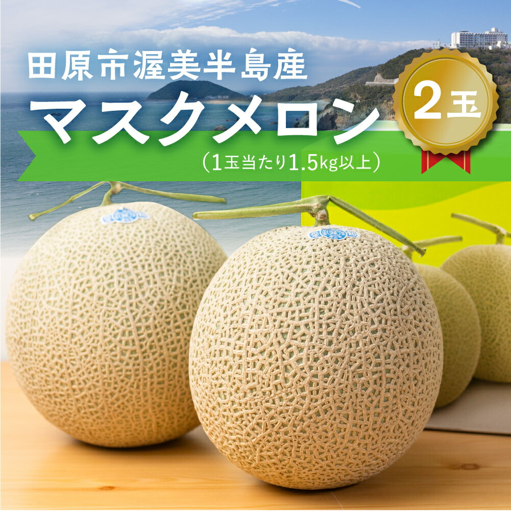 【ふるさと納税】《先行予約》 メロン 2玉 マスクメロン (1玉 1.5kg以上) 渥美半島産 マルカ農園 メロン めろん 箱詰め フルーツ 果物 愛知県 田原市 産地直送 夏 父の日 ギフト10000円 1万円 メロン 糖度 メロン 青肉 ド甘い 暑さ 対策 暑さ対策 サムネイル3