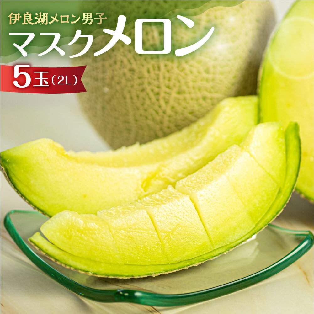 先行予約 伊良湖産 マスクメロン 5玉 2Lサイズ 訳あり 箱詰め メロン フルーツ 果物 お中元 お取り寄せ ギフト 渥美半島 田原市 伊良湖メロン男子 産地直送 送料無料 メロン 糖度 メロン 青肉