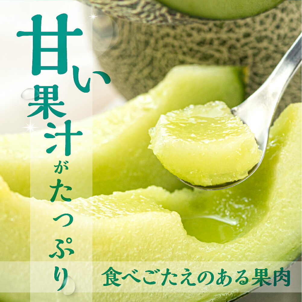 【ふるさと納税】 先行予約 タカミメロン 2玉 / 3〜5玉 5kg 水野農園 　2026年6月中下旬以降順次発送 メロン めろん 先行受付 フルーツ 果物 お中元 お取り寄せ ギフト 渥美半島 田原市 産地直送 送料無料 メロン 糖度 メロン 青肉 ド甘い 暑さ 対策 暑さ対策 サムネイル2