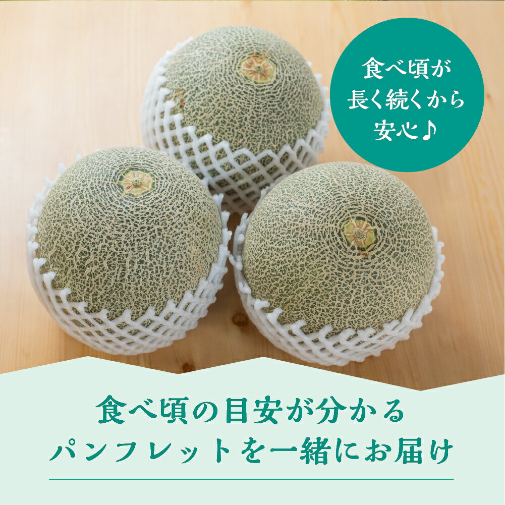 【ふるさと納税】 先行予約 タカミレッド メロン 5kg (3〜5玉) 水野農園 　2026年6月より順次発送 めろん 先行受付 フルーツ 果物 お中元 お取り寄せ ギフト 渥美半島 田原市 産地直送 送料無料 サムネイル3