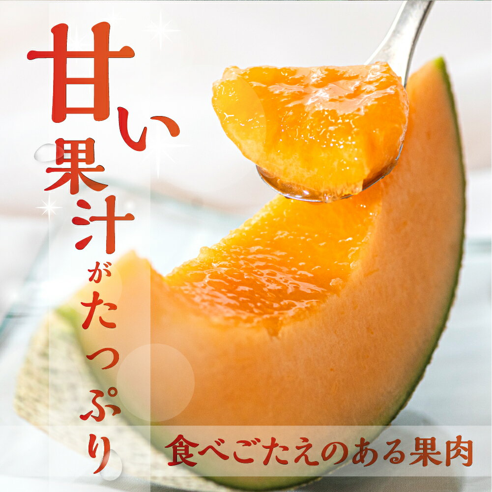【ふるさと納税】 先行予約 タカミレッド メロン 5kg (3〜5玉) 水野農園 　2026年6月より順次発送 めろん 先行受付 フルーツ 果物 お中元 お取り寄せ ギフト 渥美半島 田原市 産地直送 送料無料 サムネイル2