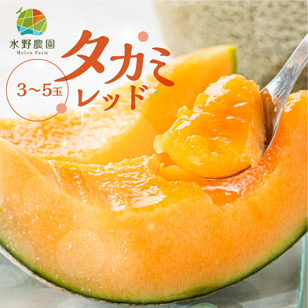 先行予約 タカミレッド メロン 5kg (3〜5玉) 水野農園 　2026年6月より順次発送 めろん 先行受付 フルーツ 果物 お中元 お取り寄せ ギフト 渥美半島 田原市 産地直送 送料無料