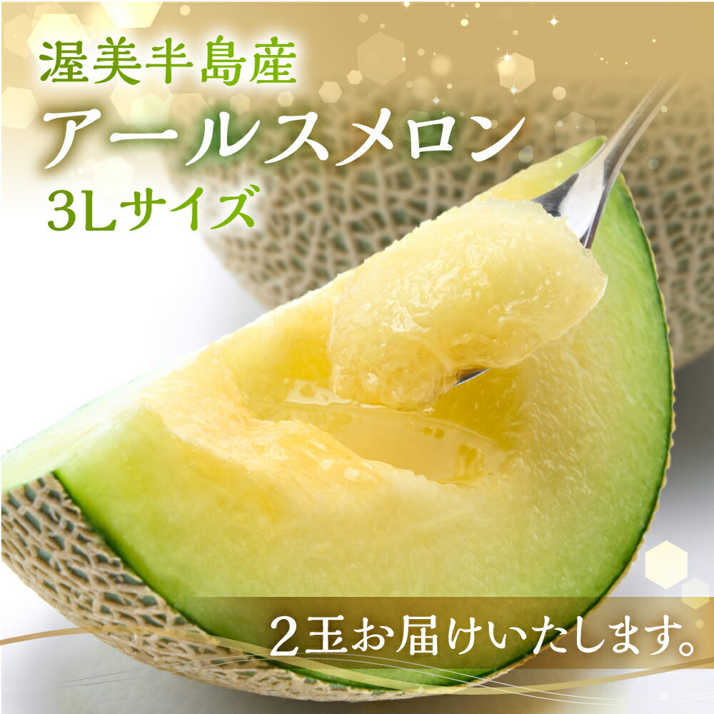 【ふるさと納税】先行予約 日研農園 アールスメロン　3L×2玉入 ／ めろん フルーツ 果物 ジューシー 愛知県 特産品 箱詰め フルーツ 果物 8月 お取り寄せ 渥美半島 田原市 産地直送 夏 送料無料 高糖度 メロン 糖度 メロン 青肉 ド甘い 暑さ 対策 暑さ対策 サムネイル3