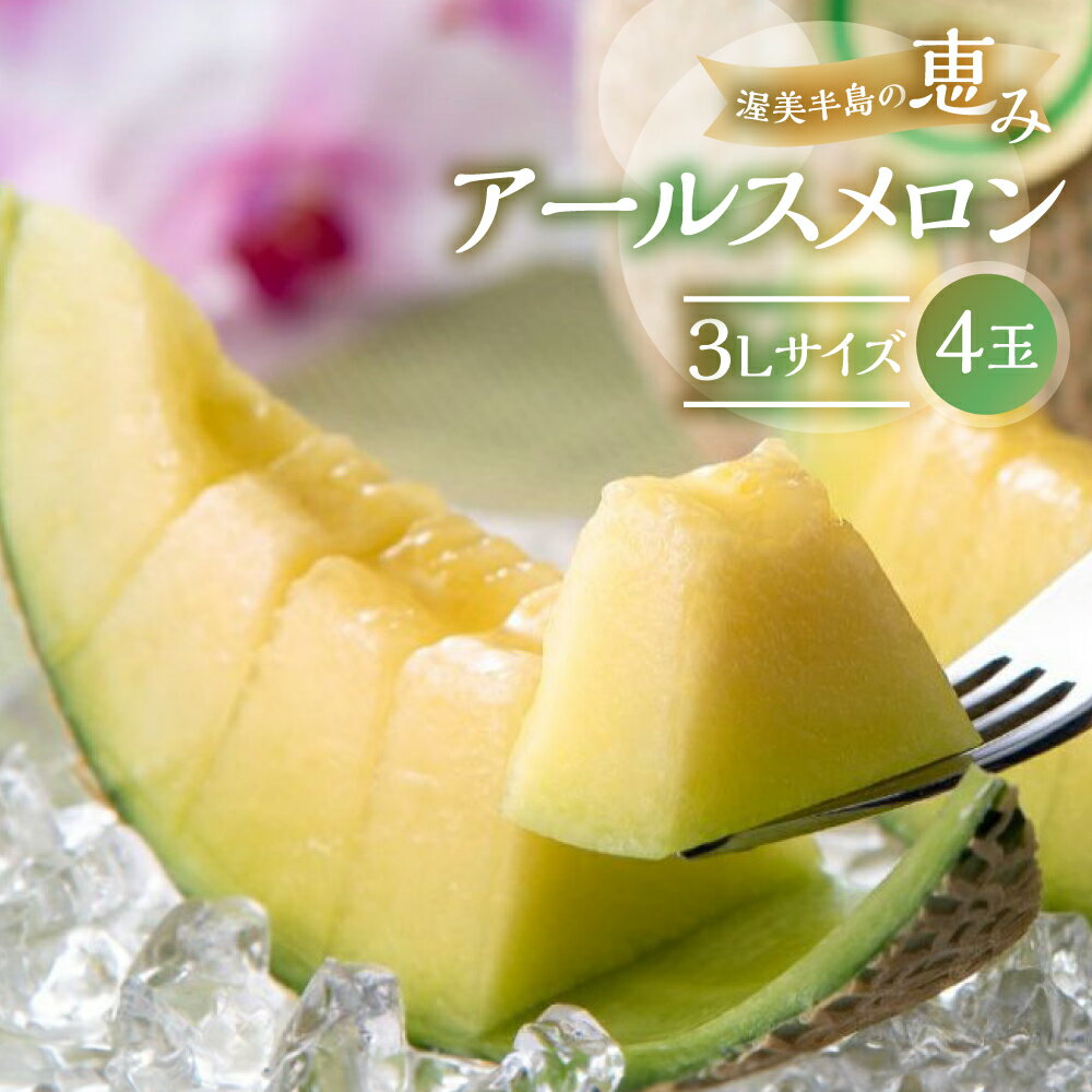 先行予約 日研農園 アールスメロン 3L×4玉入 ／ メロン めろん フルーツ 果物 ジューシー 愛知県 特産品 箱詰め フルーツ 果物 8月 お取り寄せ 渥美半島 田原市 産地直送 夏 送料無料 メロン 糖度 メロン 青肉 ド甘い 暑さ 対策 暑さ対策
