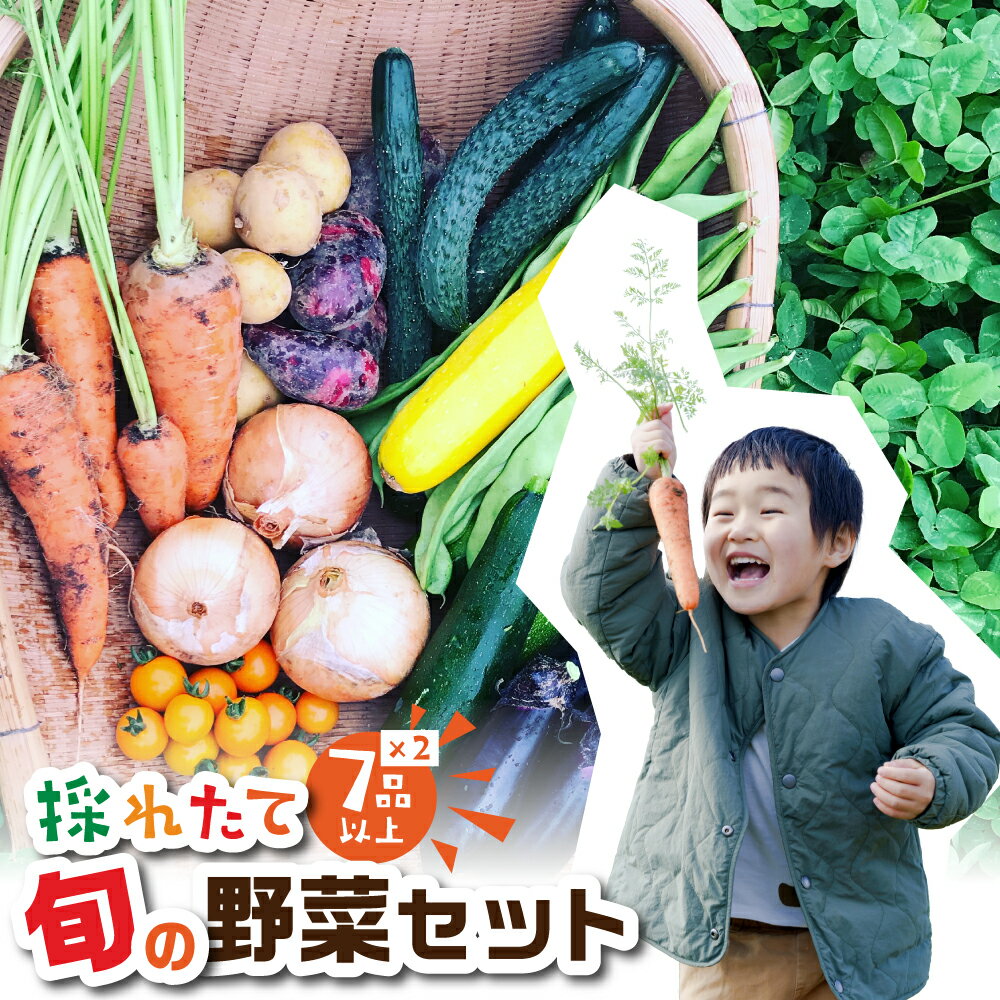 旬の野菜 7品目以上 金賞受賞 旬彩野菜セット 7品目 ×2 レシピ付き お届け 国産 新鮮 農薬不使用 化学肥料不使用 産地直送 こだわり野菜 送料無料