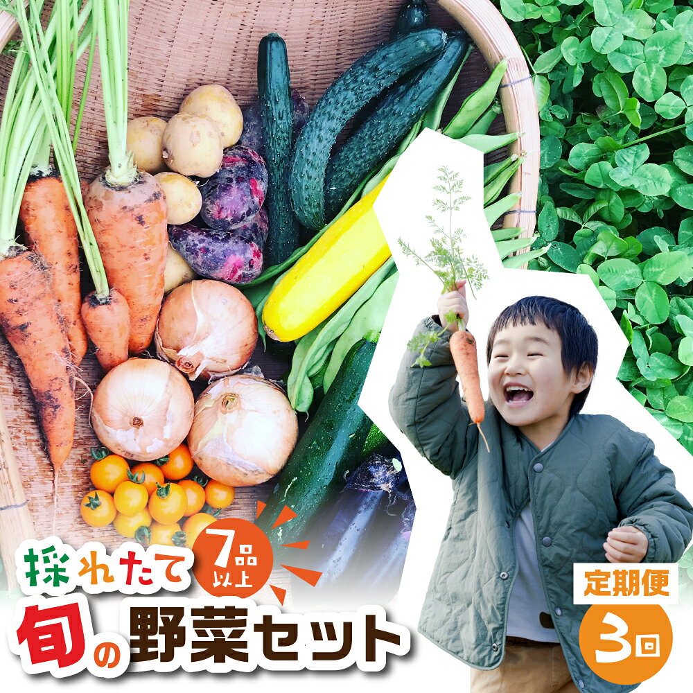 金賞受賞 旬彩野菜セット 3回 定期便 旬の野菜 7品目以上 レシピ付き お届け 国産 新鮮 農薬不使用 化学肥料不使用 野菜ソムリエ 旬の目利き 高評価 安心 安全 農家直送 直送 産地直送 こだわり野菜 送料無料