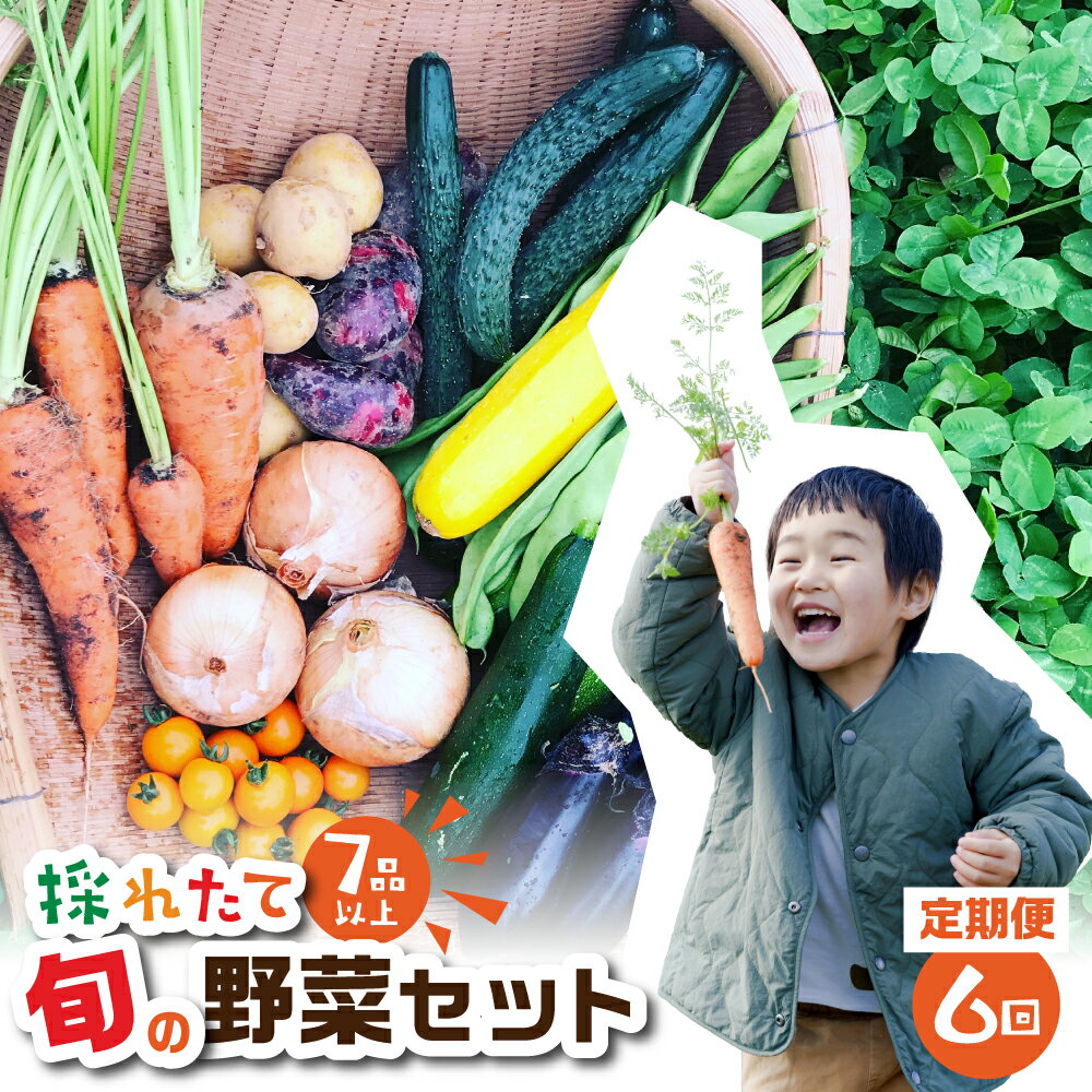 金賞受賞 旬彩野菜セット 6回 定期便 旬の野菜 7品目以上 レシピ付き お届け 国産 新鮮 農薬不使用 化学肥料不使用 野菜ソムリエ 旬の目利き 高評価 安心 安全 農家直送 直送 産地直送 こだわり野菜 送料無料