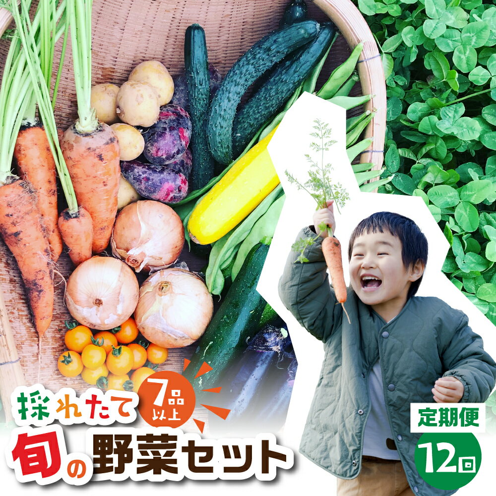 金賞受賞 旬彩野菜セット 12回 定期便 旬の野菜 7品目以上 レシピ付き お届け 国産 新鮮 農薬不使用 化学肥料不使用 野菜ソムリエ 旬の目利き 高評価 安心 安全 農家直送 直送 産地直送 こだわり野菜 どうまい