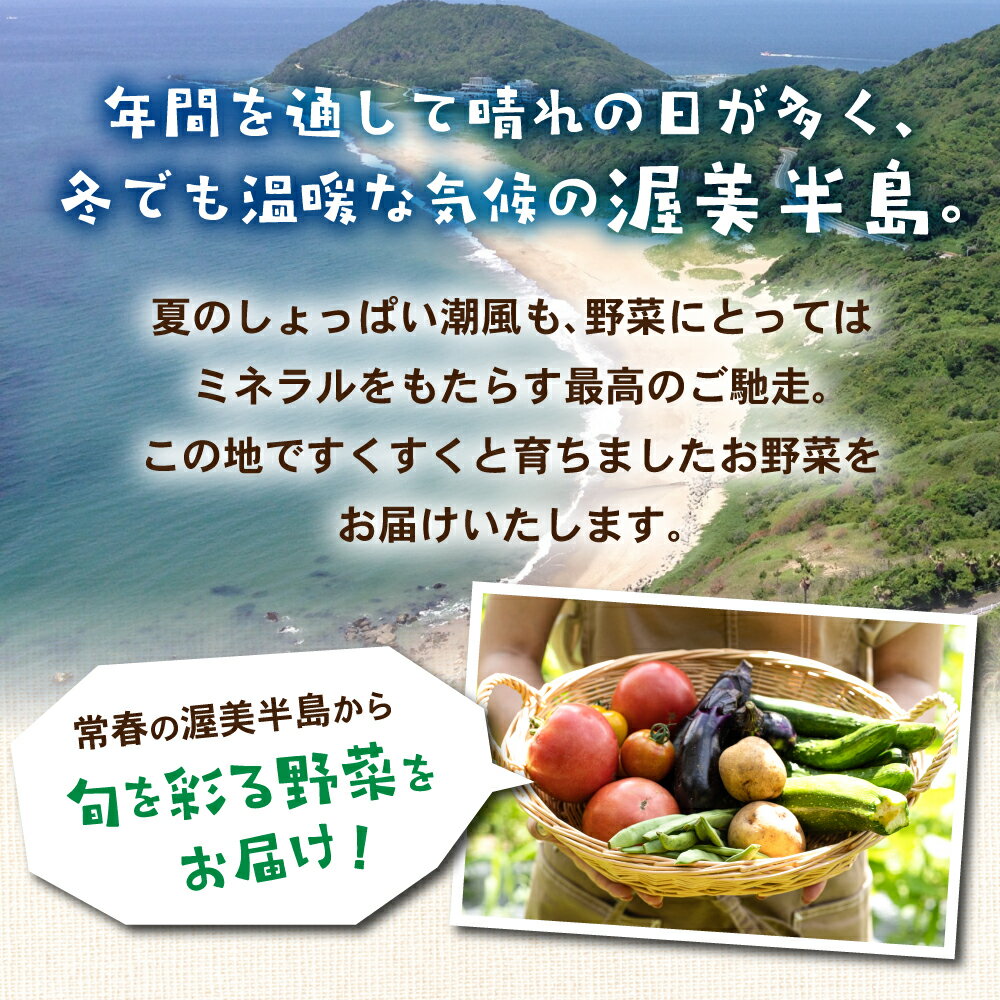 【ふるさと納税】金賞受賞 旬彩野菜セット 12回 定期便 旬の野菜 7品目以上 レシピ付き お届け 国産 新鮮 農薬不使用 化学肥料不使用 野菜ソムリエ 旬の目利き 高評価 安心 安全 農家直送 直送 産地直送 こだわり野菜 どうまい - 画像3