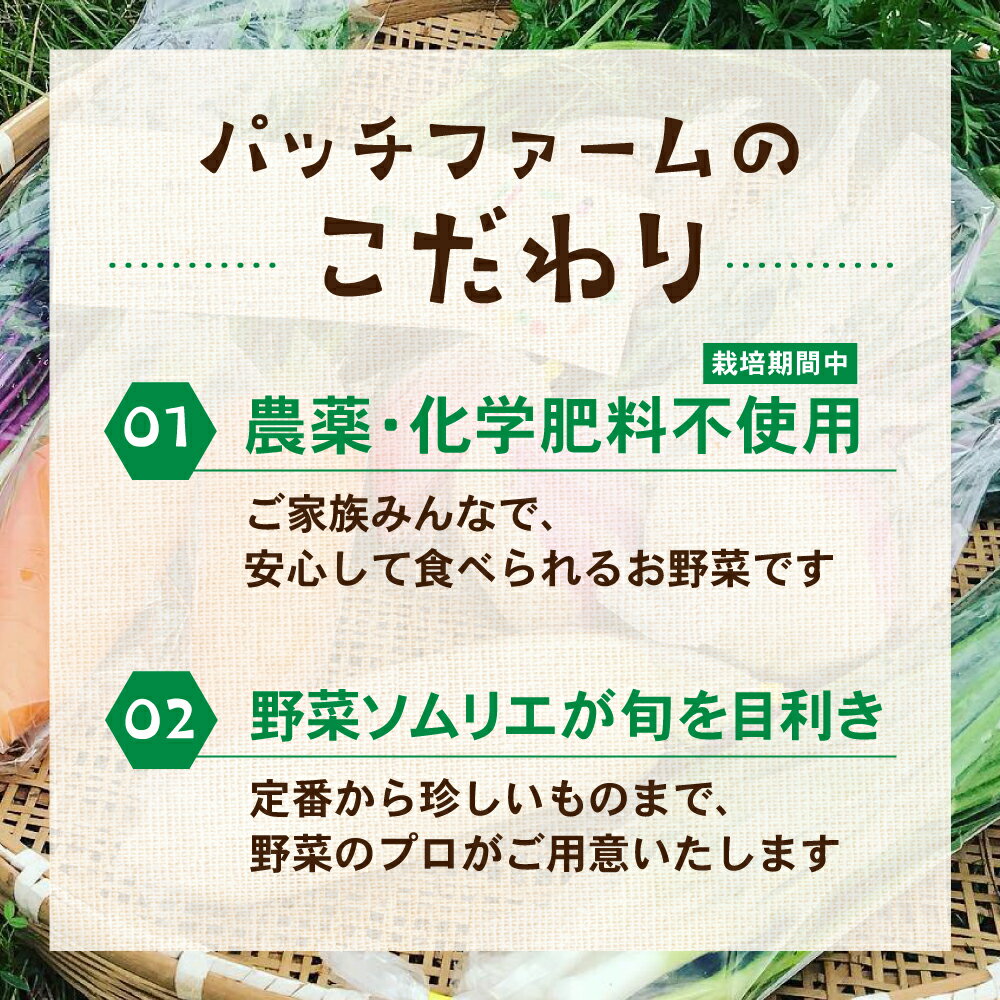 【ふるさと納税】旬の野菜 7品目以上 金賞受賞 旬彩野菜セット 7品目 ×2 レシピ付き お届け 国産 新鮮 農薬不使用 化学肥料不使用 産地直送 こだわり野菜 送料無料 - 画像3