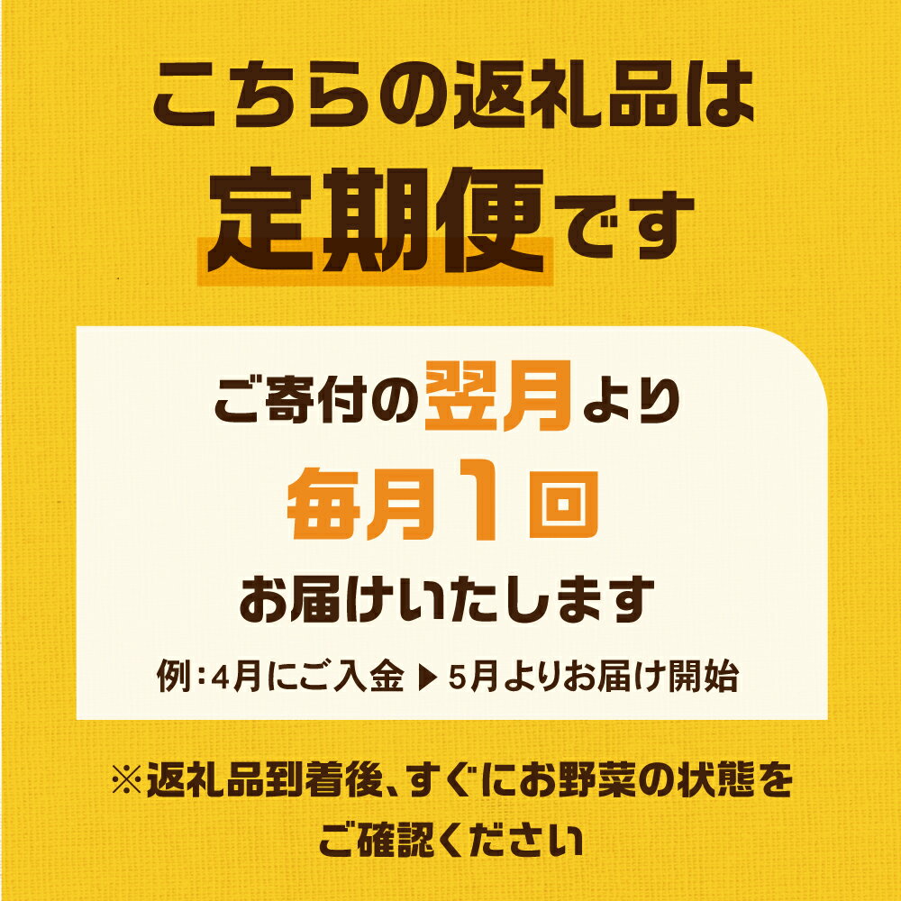 【ふるさと納税】金賞受賞 旬彩野菜セット 12回 定期便 旬の野菜 7品目以上 レシピ付き お届け 国産 新鮮 農薬不使用 化学肥料不使用 野菜ソムリエ 旬の目利き 高評価 安心 安全 農家直送 直送 産地直送 こだわり野菜 どうまい - 画像2