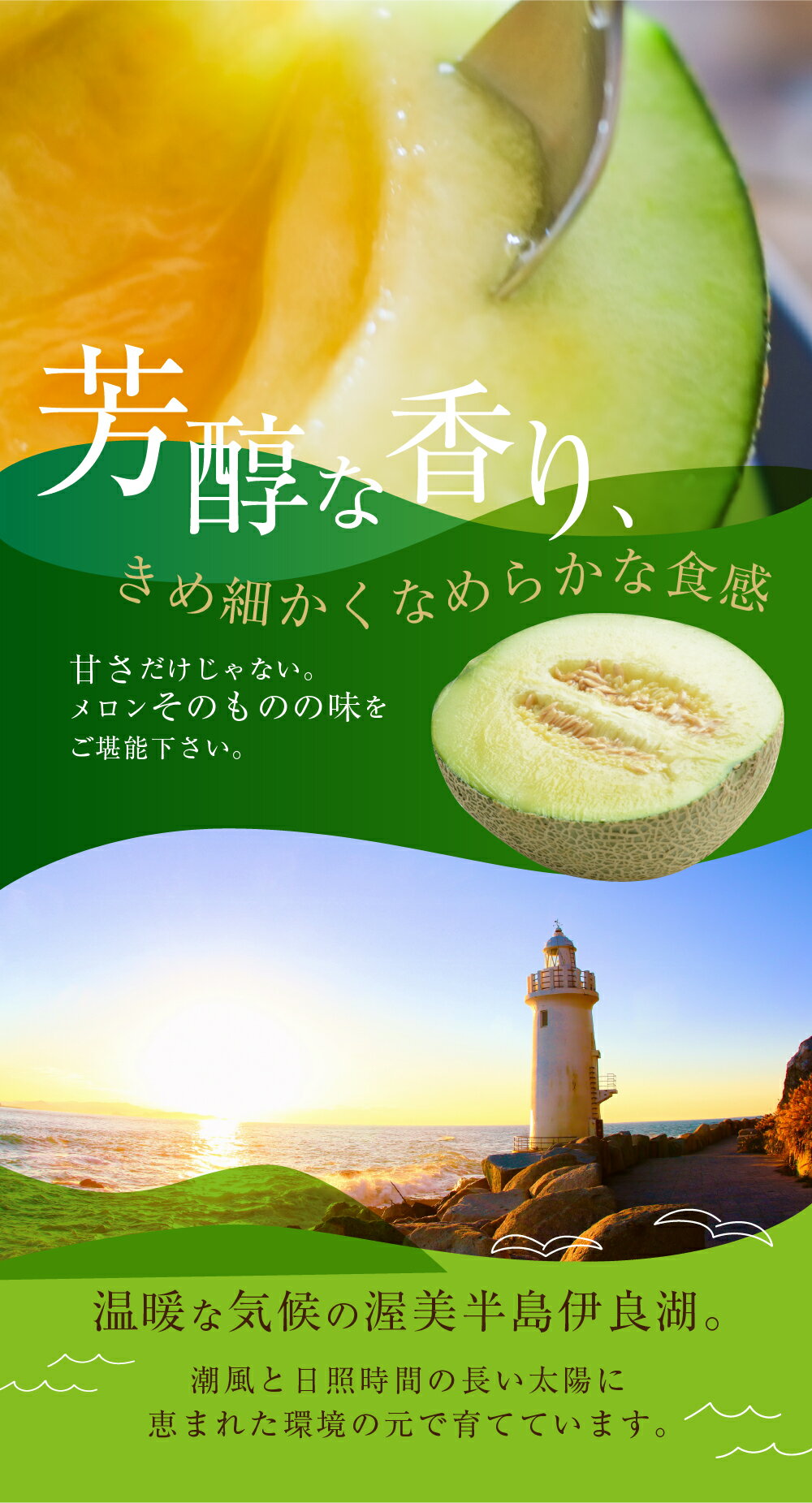 【ふるさと納税】 渥美半島 マスクメロン 高評価★4.7 / 先行予約 （2026年6月下旬～8月中旬お届け）/ 選べる玉数 2玉 3玉 5玉 6玉 2L〜3L サイズ メロン 発送時期が選べる ギフト箱入り フルーツ 秀品 田原市 ギフト プレゼント 人気 糖度 メロン 青肉 ド甘い 暑さ 対策 サムネイル2