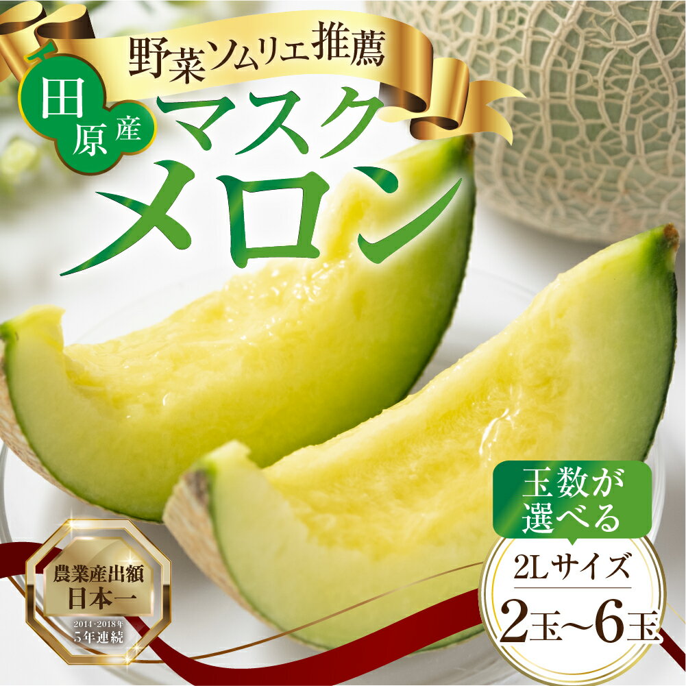 渥美半島 マスクメロン 高評価★4.7 / 先行予約 （2026年6月下旬～8月中旬お届け）/ 選べる玉数 2玉 3玉 5玉 6玉 2L〜3L サイズ メロン 発送時期が選べる ギフト箱入り フルーツ 秀品 田原市 ギフト プレゼント 人気 糖度 メロン 青肉 ド甘い 暑さ 対策