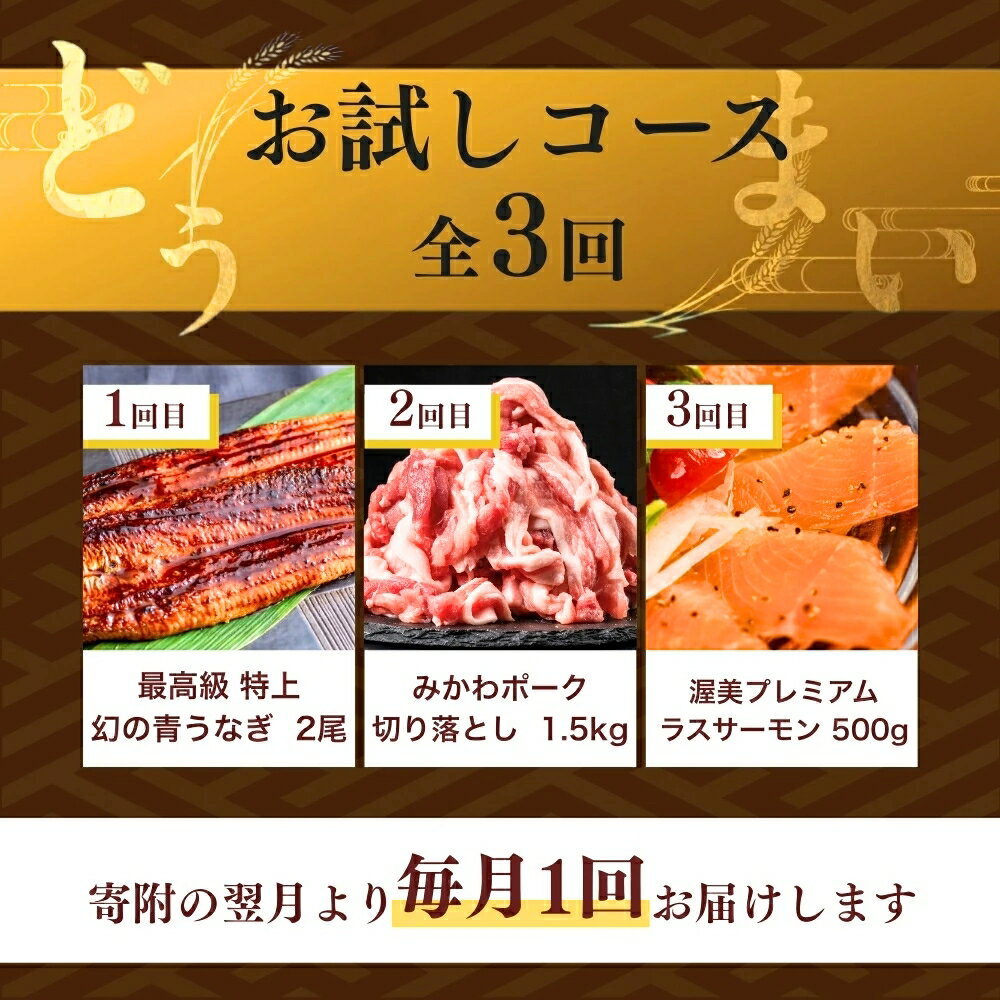 【ふるさと納税】どうまい 定期便 選べる 全3回/5回/10回 海鮮 フルーツ 果物 野菜 肉 うなぎ いちご 名古屋コーチン メロン ハム 魚 鰻 ウナギ 蒲焼 メロン 地鶏 豚肉 高評価 幻の青うなぎ 野菜 肉 牛肉 みかん サーモン 鮭 みかわポーク 定期便 定期便 どうまい 焼き鳥 サムネイル3