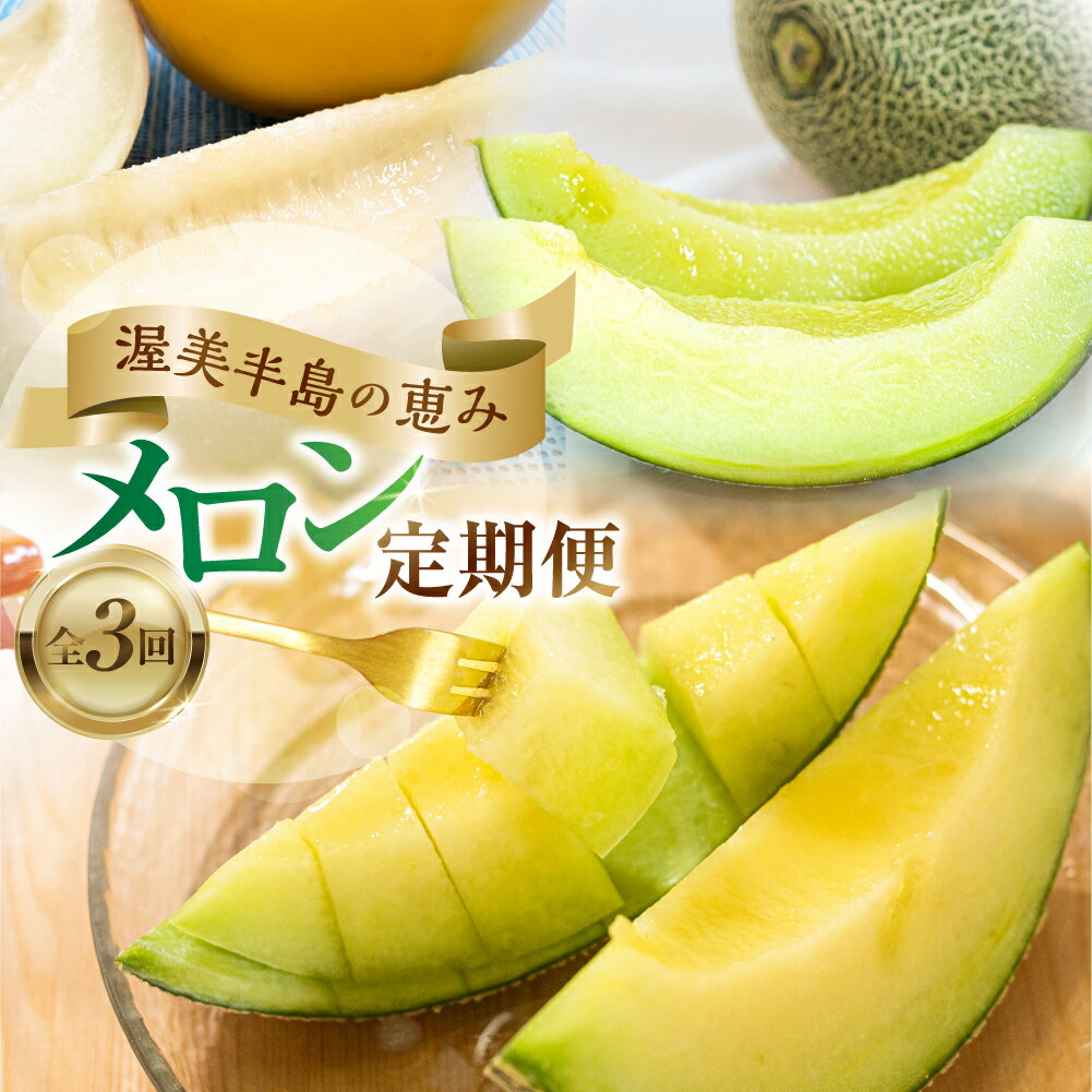 渥美半島の恵み メロン 定期便 3回 ( イエローキング / タカミメロン / マスクメロン) 先行予約 2025年発送 果物 旬 めろん 夏 夏季 食べ比べ 3種 人気 愛知県 田原市 どうまい ド甘い