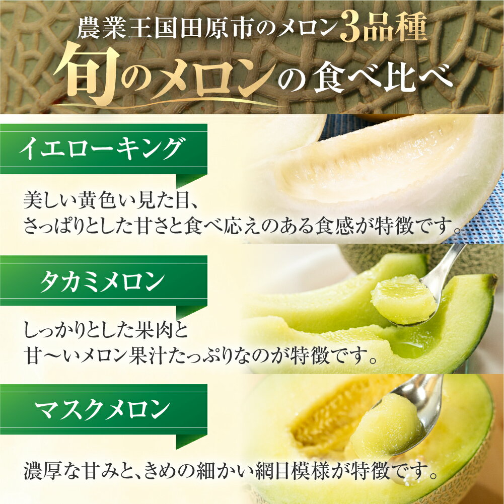 【ふるさと納税】渥美半島の恵み メロン 定期便 3回 ( イエローキング / タカミメロン / マスクメロン) 先行予約 2025年発送 果物 旬 めろん 夏 夏季 食べ比べ 3種 人気 愛知県 田原市 どうまい ド甘い サムネイル3