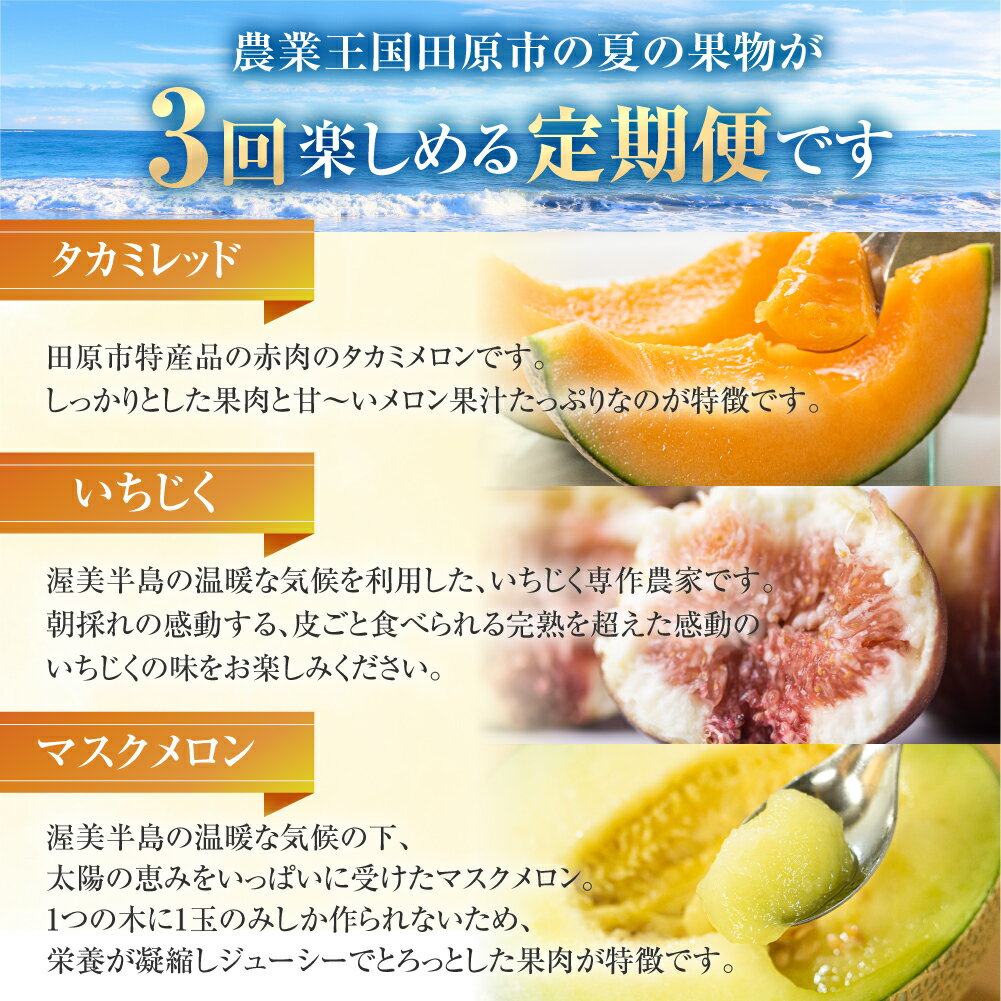 【ふるさと納税】渥美半島の恵み 夏 フルーツ 定期便 3回 ( タカミレッド / いちじく / マスクメロン) 先行予約 2026年発送 くだもの 果物 旬 めろん イチジク 夏 夏季 人気 愛知県 田原市 ド甘い サムネイル3