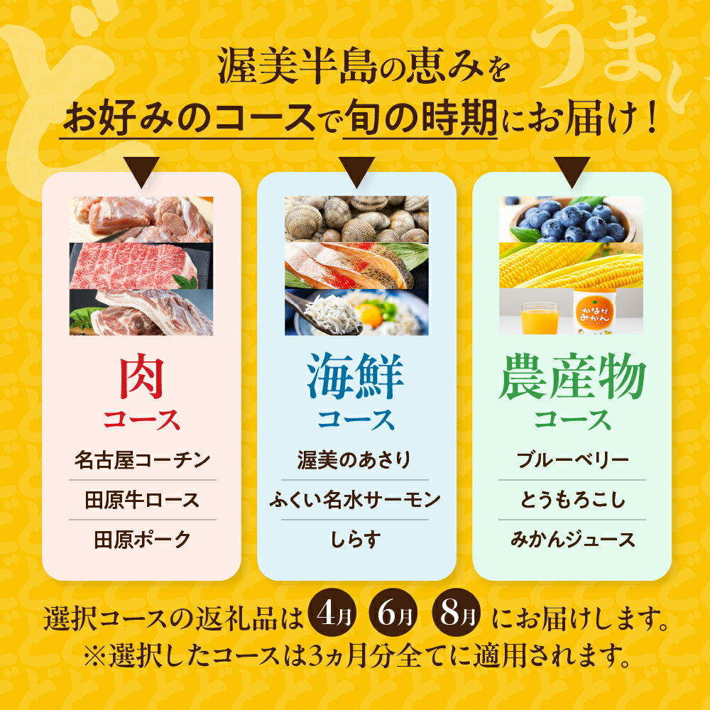 【ふるさと納税】渥美半島 どうまい 定期便 12回 ＼高評価★4.86／ おまかせ フルーツ 海鮮 果物 いちご みかん うなぎ 肉 豚肉 メロン しらす 餃子 ジェラート とうもろこし 焼き鳥 牛肉 蒲焼 12ヶ月 1年 鰻 野菜 高評価 人気 肉 魚 田原市 定期便 どうまい サムネイル3