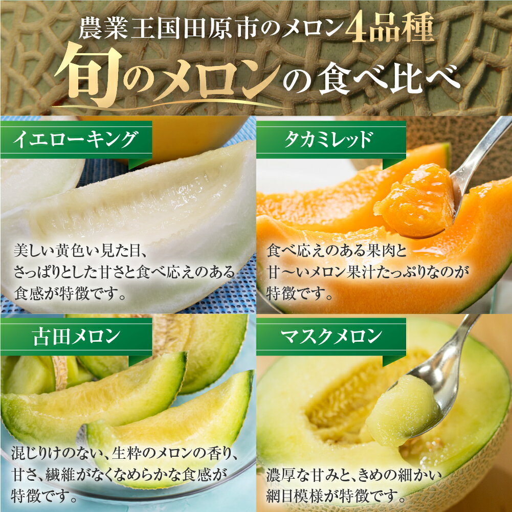 【ふるさと納税】先行予約 2026年発送 渥美半島の恵み メロン 定期便 4回 ( イエローキング / タカミレッド / 古田メロン / マスクメロン) 果物 旬 めろん 夏 夏季 4種 食べ比べ 人気 愛知県 田原市 ド甘い サムネイル3
