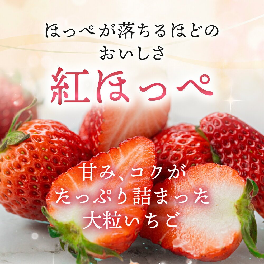 【ふるさと納税】 先行予約 メロン・イチゴ定期便 全2回 メロン 数量限定 渥美半島 伊良湖潮風育ち 田原市 お取り寄せ 産地直送 送料無料 どうまい ド甘い サムネイル3