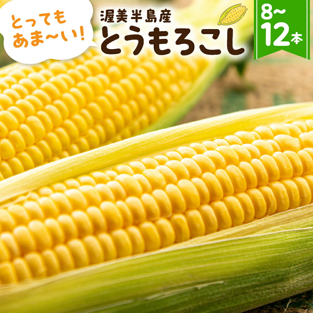 【ふるさと納税】渥美半島　夏のごちそう 定期便 3回（とうもろこし、うなぎ、メロン） 　数量限定 渥美半島 田原市 お取り寄せ 産地直送 送料無料 果物 フルーツ サムネイル3