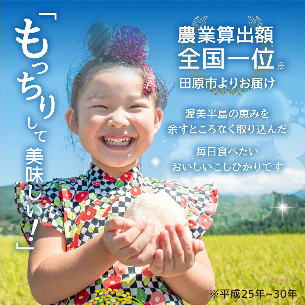 【ふるさと納税】無洗米 コシヒカリ 10kg ( 5kg × 2袋 ) 令和7年産 無洗米 米 白米 精米 国産 訳あり こしひかり 無洗米 簡易包装 備蓄米 より おいしい 送料無料 えらべる 発送時期 10キロ お米 コメ こめ おこめ お米 米 常温 定期便 人気 サムネイル2