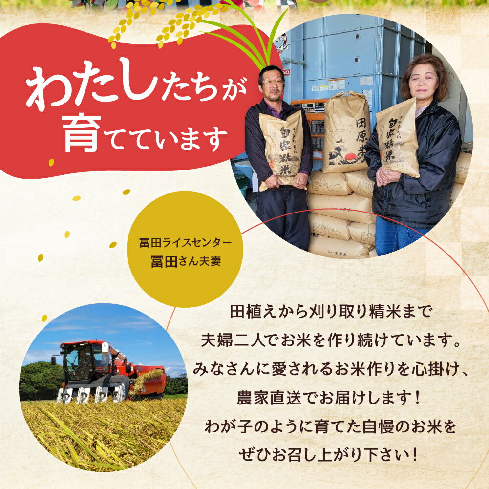 【ふるさと納税】無洗米 コシヒカリ 10kg ( 5kg × 2袋 ) 令和7年産 無洗米 米 白米 精米 国産 訳あり こしひかり 無洗米 簡易包装 備蓄米 より おいしい 送料無料 えらべる 発送時期 10キロ お米 コメ こめ おこめ お米 米 常温 定期便 人気 サムネイル3