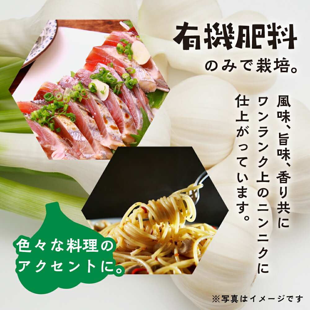 【ふるさと納税】2026年発送分 ≪先行予約≫ 訳あり 渥美半島産　生ニンニク 1kg 簡易包装 にんにく 国産にんにく 平戸にんにく 愛知県 田原市 - 画像3