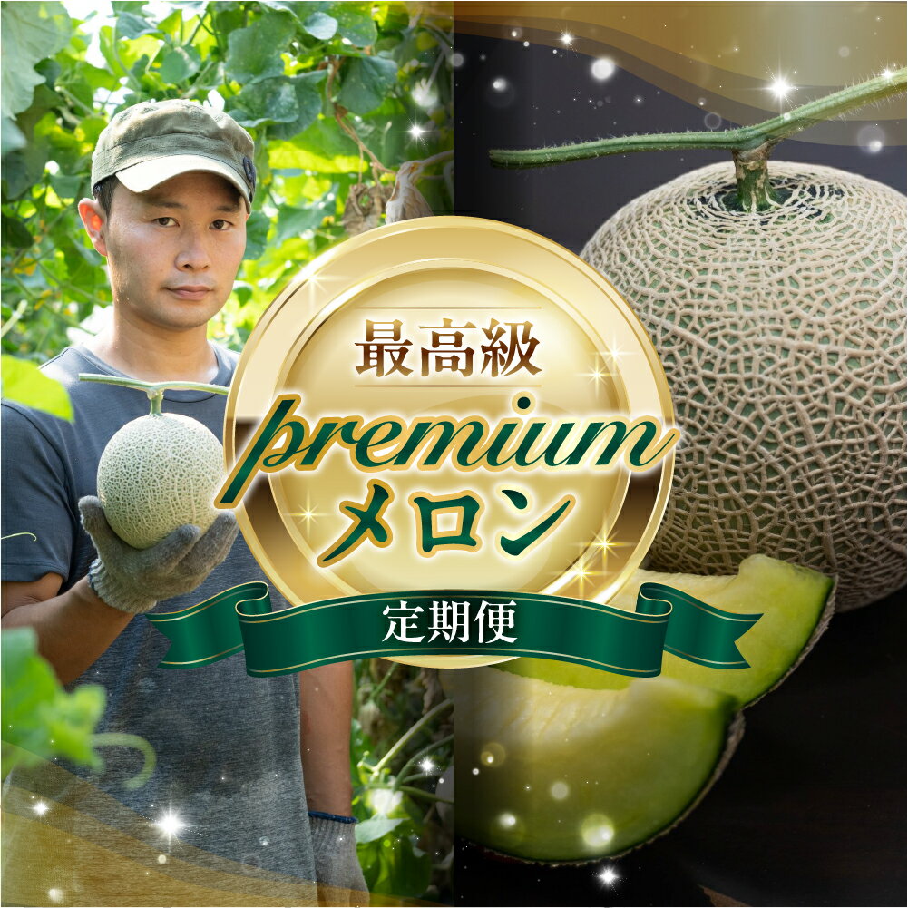 先行予約 メロンプレミアム定期便 全2回 メロン 数量限定 渥美半島 伊良湖潮風育ち 田原市 お取り寄せ 産地直送 送料無料 メロン 糖度 メロン 青肉 ド甘い 暑さ 対策 暑さ対策
