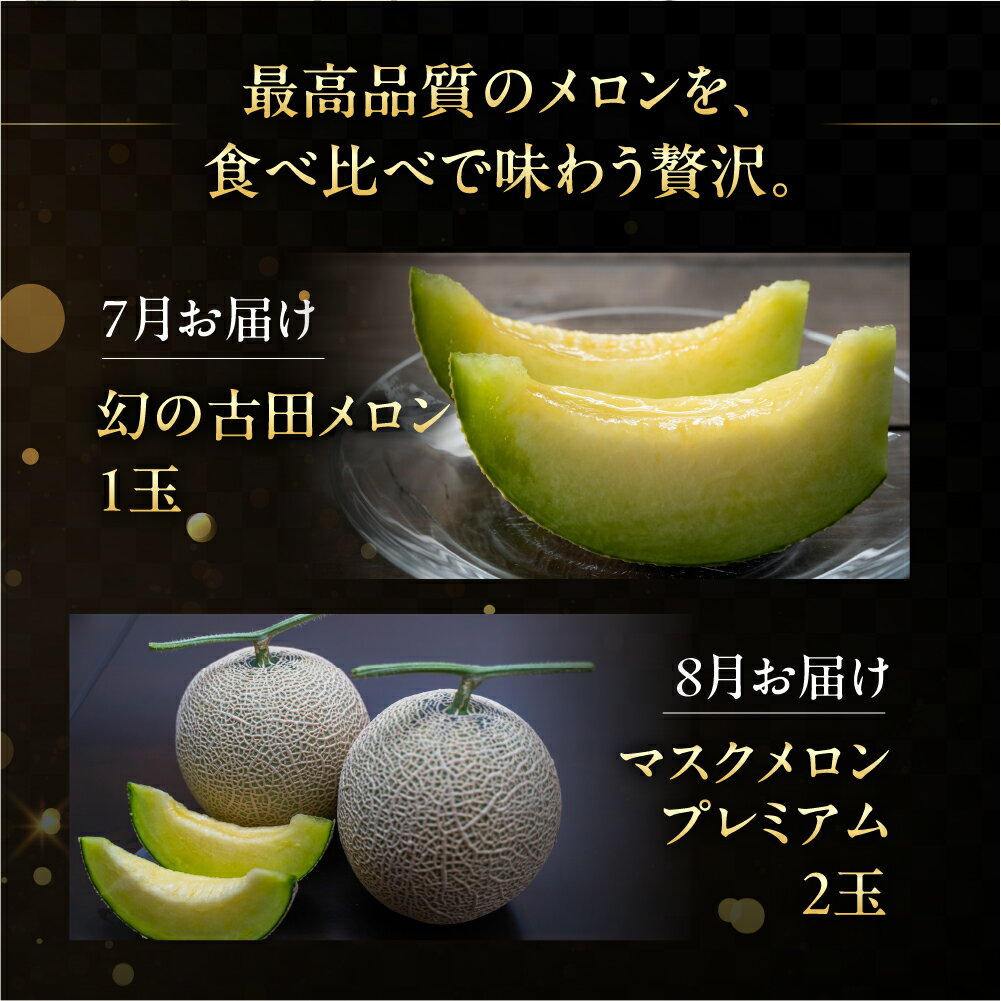 【ふるさと納税】 先行予約 メロンプレミアム定期便 全2回 メロン 数量限定 渥美半島 伊良湖潮風育ち 田原市 お取り寄せ 産地直送 送料無料 メロン 糖度 メロン 青肉 ド甘い 暑さ 対策 暑さ対策 サムネイル2