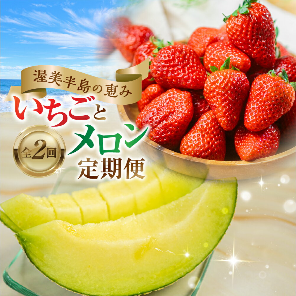 先行予約 メロン・イチゴ定期便 全2回 メロン 数量限定 渥美半島 伊良湖潮風育ち 田原市 お取り寄せ 産地直送 送料無料 どうまい ド甘い