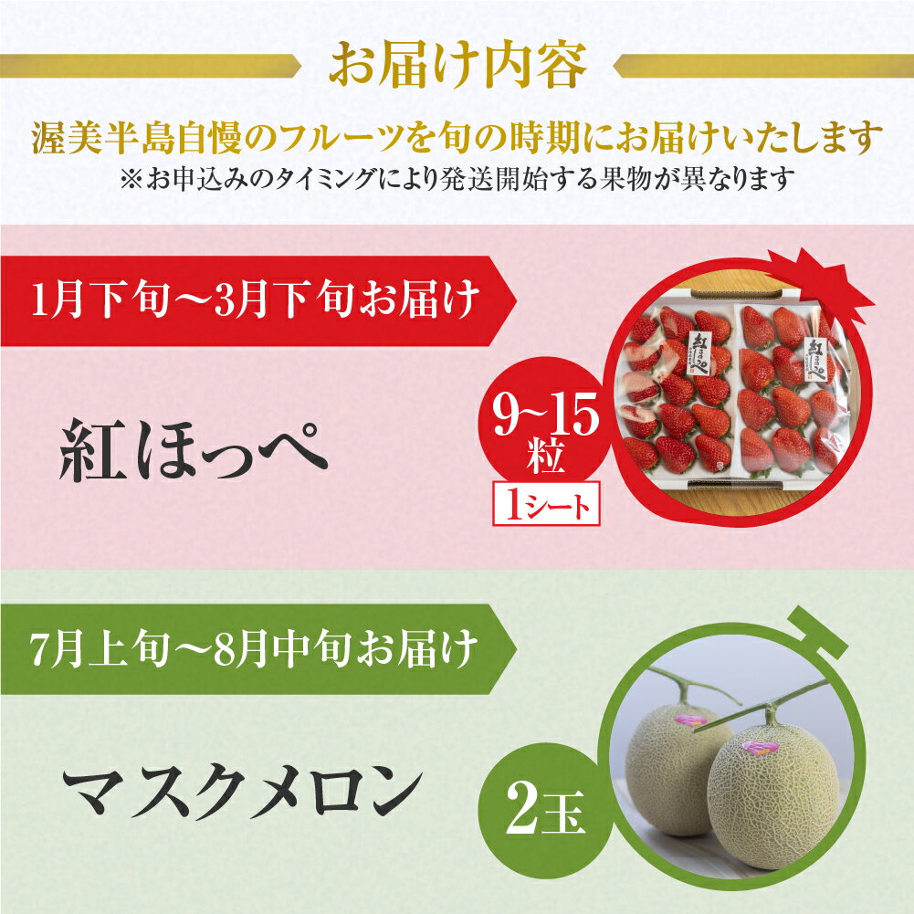 【ふるさと納税】 先行予約 メロン・イチゴ定期便 全2回 メロン 数量限定 渥美半島 伊良湖潮風育ち 田原市 お取り寄せ 産地直送 送料無料 どうまい ド甘い サムネイル2