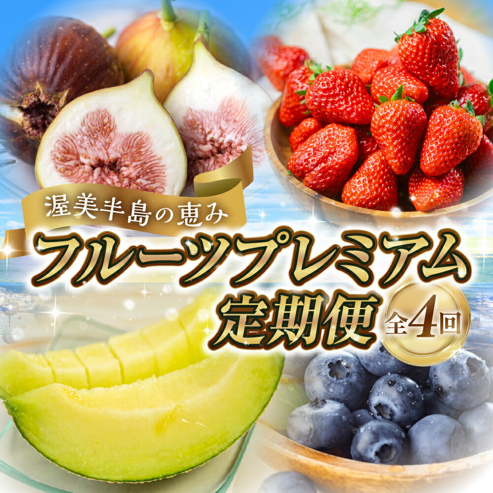 先行予約 フルーツ プレミアム定期便 全4回 (メロン / いちじく / ブルーベリー / いちご ) 果物 数量限定 渥美半島 伊良湖潮風育ち 田原市 お取り寄せ 産地直送 どうまい ド甘い