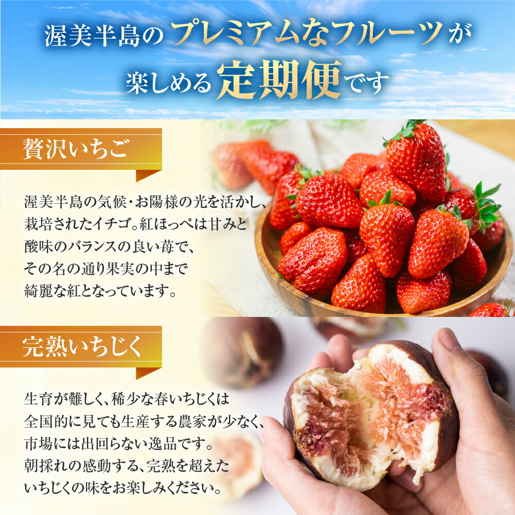 【ふるさと納税】 先行予約 フルーツ プレミアム定期便 全4回 (メロン / いちじく / ブルーベリー / いちご ) 果物 数量限定 渥美半島 伊良湖潮風育ち 田原市 お取り寄せ 産地直送 どうまい ド甘い サムネイル3