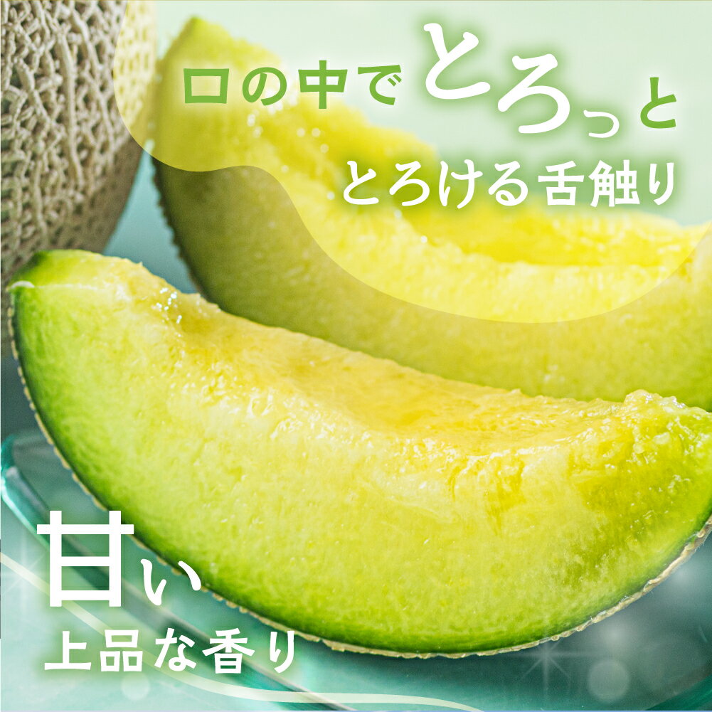 【ふるさと納税】【定期便】先行予約 マスクメロン 4回 伊良湖産 2玉 2026年6月スタート 箱詰め メロン フルーツ 果物 お中元 お取り寄せ ギフト 渥美半島 田原市 マルカ農園 産地直送 送料無料 ド甘い サムネイル3