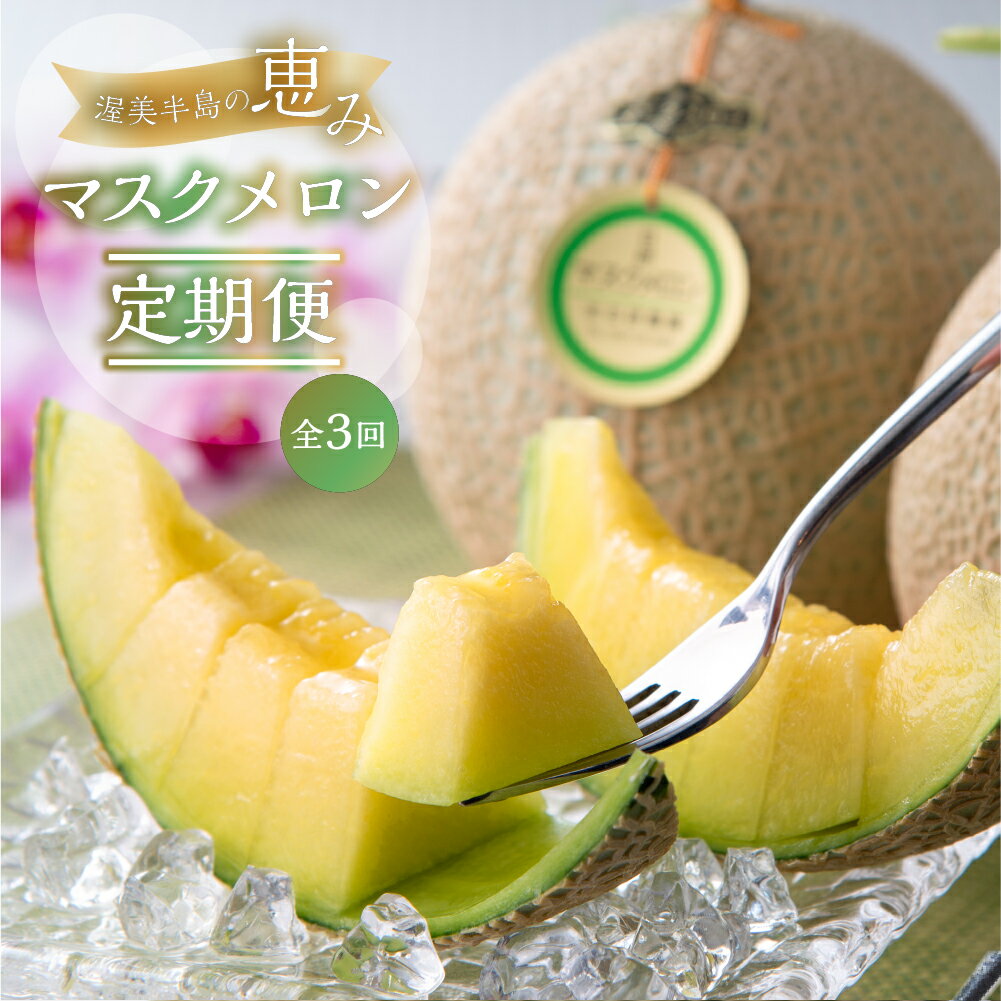 【定期便】先行予約 マスクメロン 3回 伊良湖産 2玉 3Lサイズ 2026年7月スタート 箱詰め メロン フルーツ 果物 お中元 お取り寄せ ギフト 渥美半島 田原市 日研農園 産地直送 送料無料 メロン 糖度 メロン 青肉 ド甘い 暑さ 対策 暑さ対策
