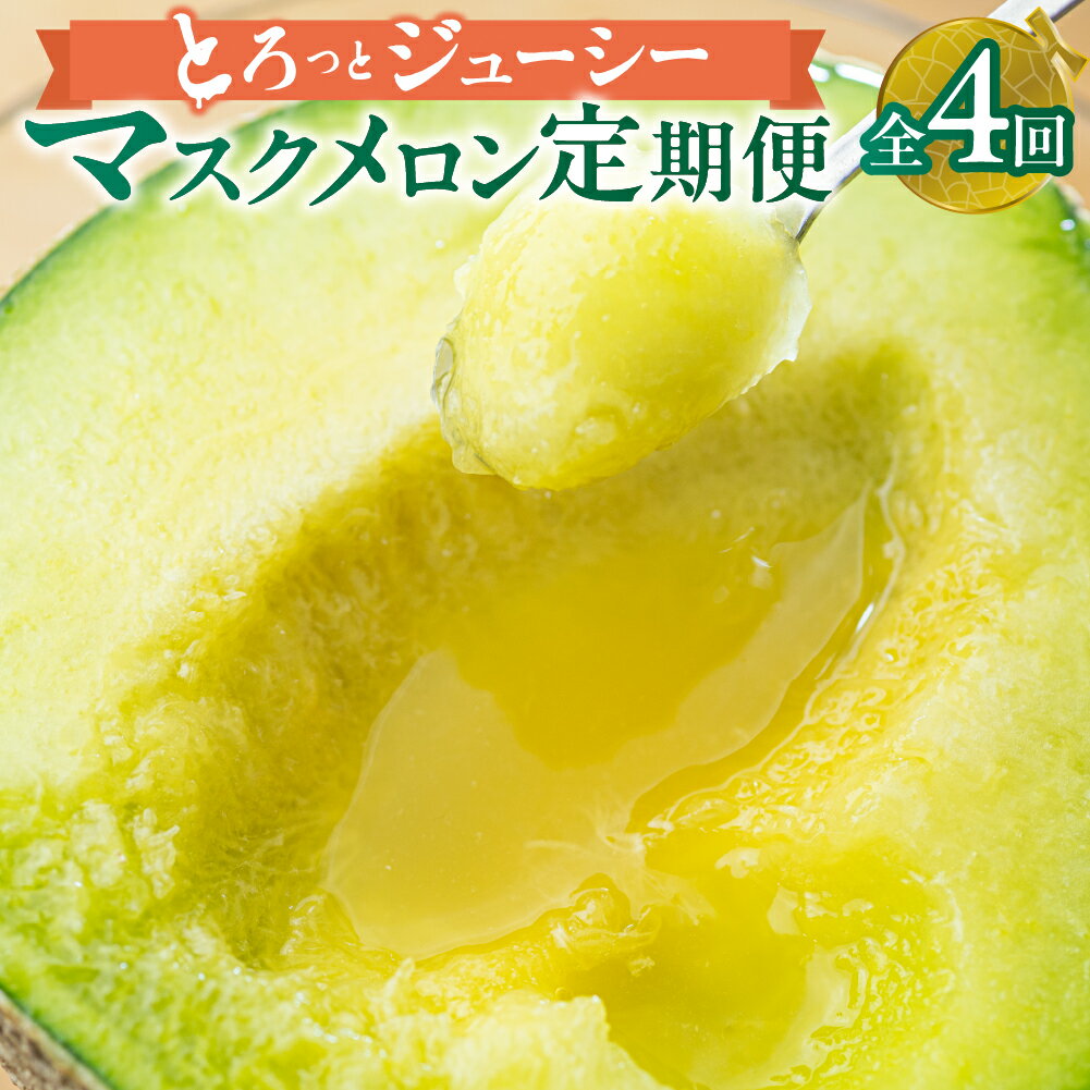 【定期便】先行予約 マスクメロン 4回 伊良湖産 2玉 2026年6月スタート 箱詰め メロン フルーツ 果物 お中元 お取り寄せ ギフト 渥美半島 田原市 マルカ農園 産地直送 送料無料 ド甘い