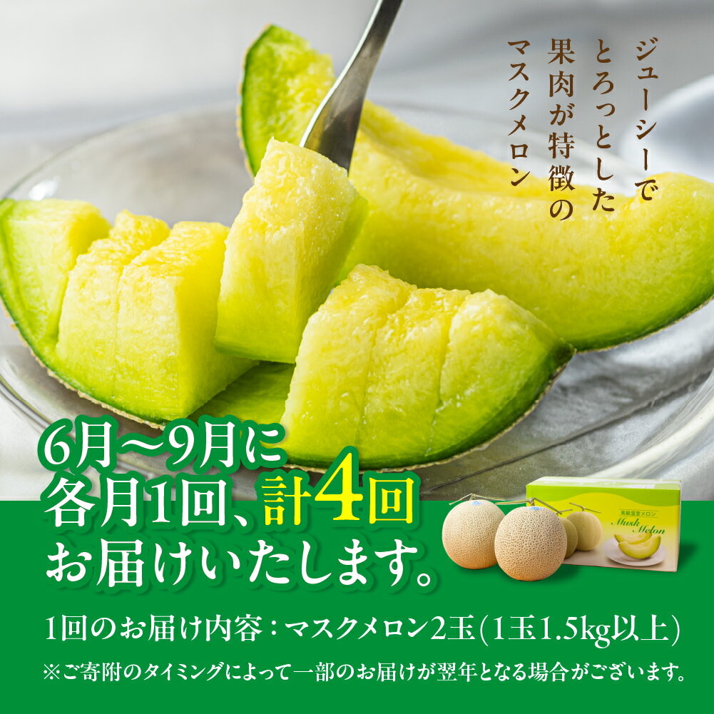 【ふるさと納税】【定期便】先行予約 マスクメロン 4回 伊良湖産 2玉 2026年6月スタート 箱詰め メロン フルーツ 果物 お中元 お取り寄せ ギフト 渥美半島 田原市 マルカ農園 産地直送 送料無料 ド甘い サムネイル2