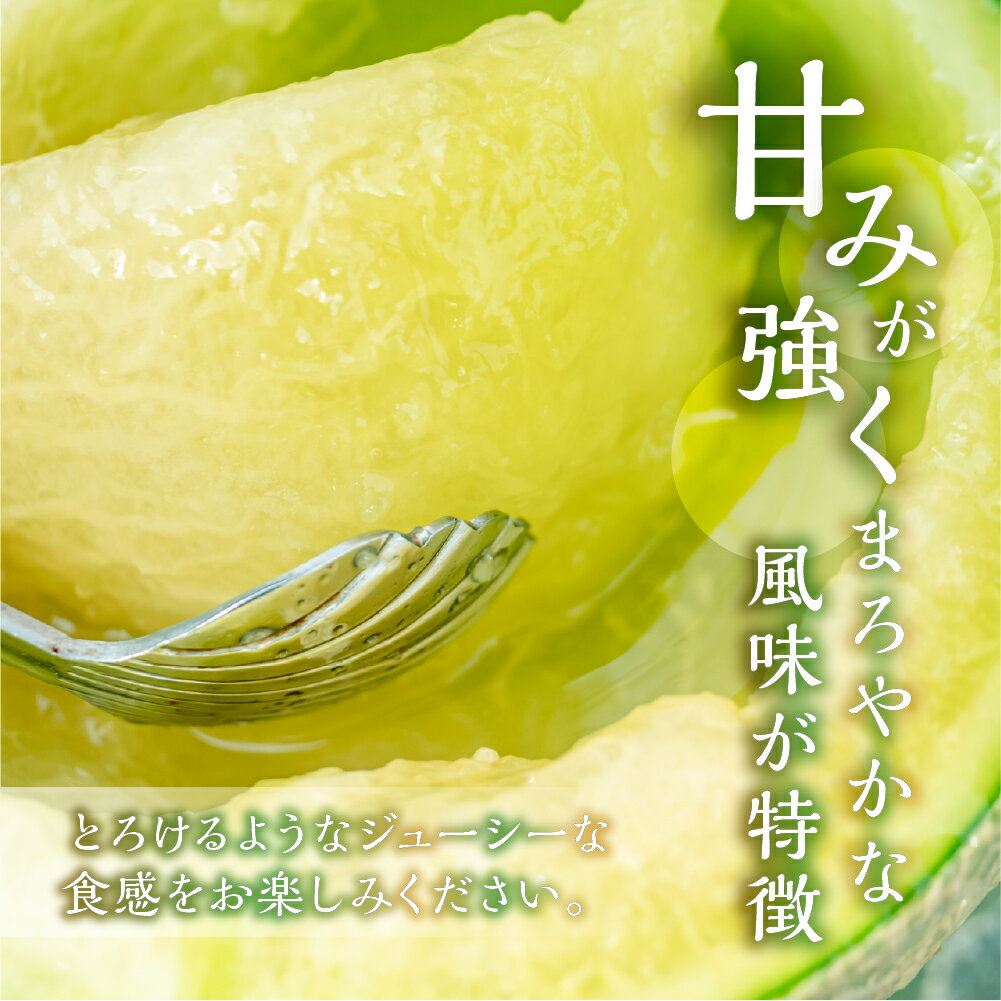 【ふるさと納税】【定期便】先行予約 マスクメロン 3回 伊良湖産 2玉 3Lサイズ 2026年7月スタート 箱詰め メロン フルーツ 果物 お中元 お取り寄せ ギフト 渥美半島 田原市 日研農園 産地直送 送料無料 メロン 糖度 メロン 青肉 ド甘い 暑さ 対策 暑さ対策 サムネイル3
