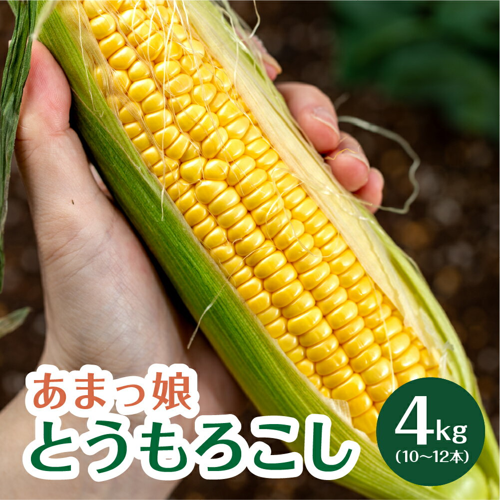 あまーい あまっ娘 とうもろこし （10本〜12本　4.0kg以上） 産地直送 田原市 送料無料